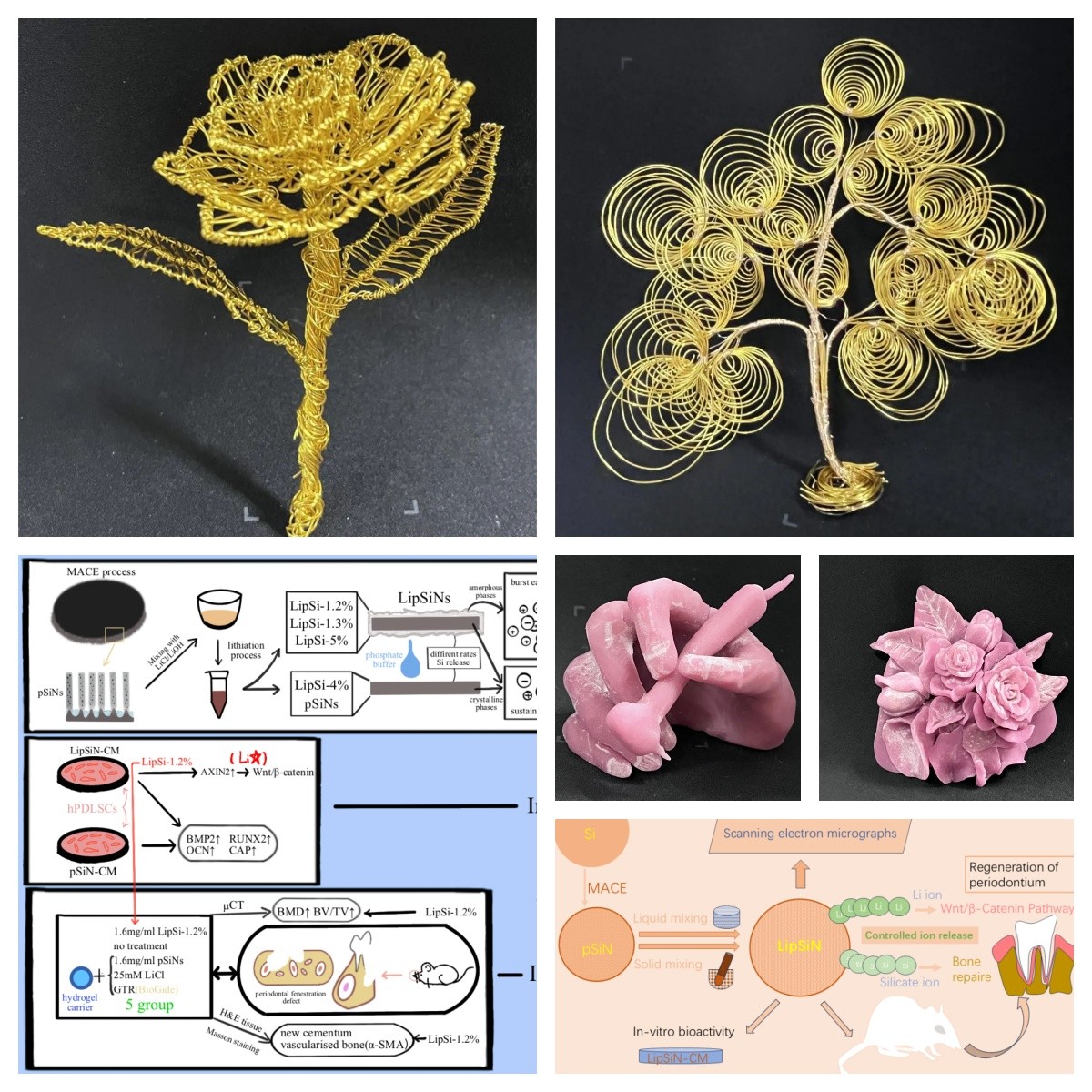 未命名 未命名.jpg